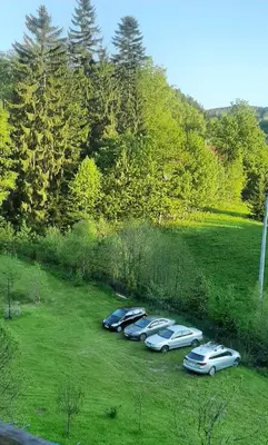 Przyroda w pobliżu tego apartamentu