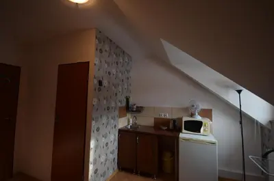 Kuchnia lub aneks kuchenny w obiekcie Pod Modrzewiem Agroturystyczne mieszkania turystyczne