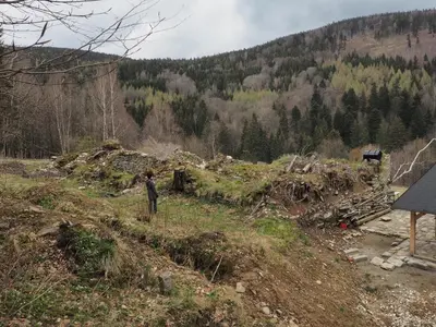 Przyroda w pobliżu tego apartamentu