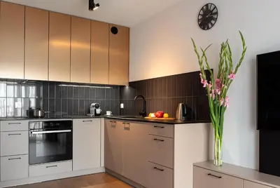 Kuchnia lub aneks kuchenny w obiekcie apartamenty-wroc Kurkowa