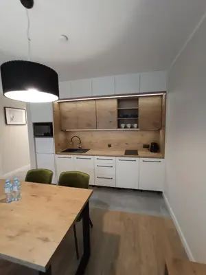 Kuchnia lub aneks kuchenny w obiekcie Apartamenty Woda i Las