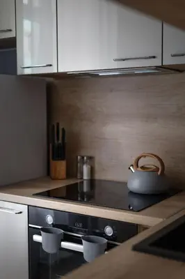 Kuchnia lub aneks kuchenny w obiekcie Apartament Silver