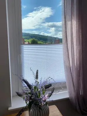 Przyroda w pobliżu tego apartamentu