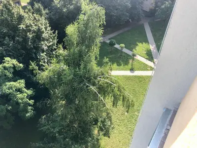 Przyroda w pobliżu tego apartamentu