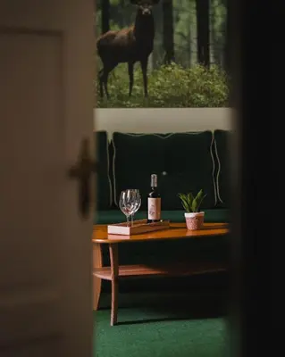 Zwierzęta w pensjonacie lub w pobliżu