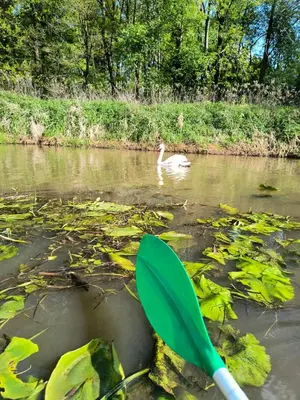 Widok na rzekę nieopodal tego domu wakacyjnego