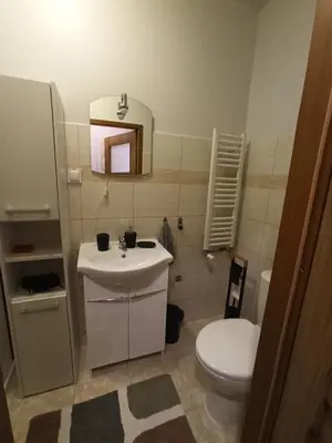 Łazienka w obiekcie Chopina 6 na zielonym wzgórzu