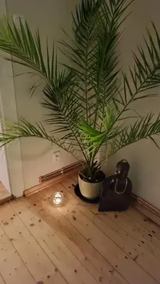 Plan piętra w obiekcie Chopina 6 na zielonym wzgórzu
