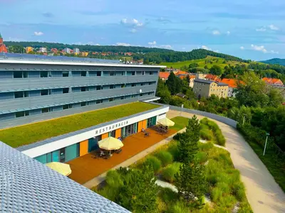 Przyroda w pobliżu tego hotelu