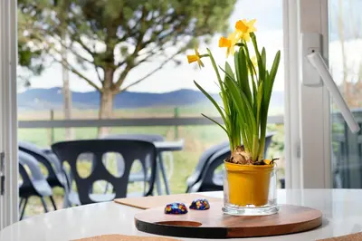 Ogród w obiekcie MARGARETT - Cozy House Kłodzko Jaszkowa Dln.