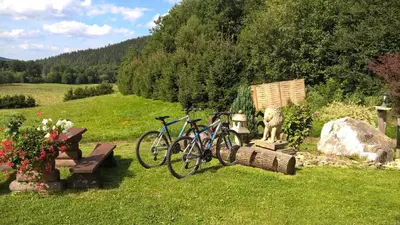 Przyroda w pobliżu tego obiektu B&B