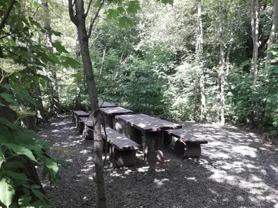 Przyroda w pobliżu tego apartamentu