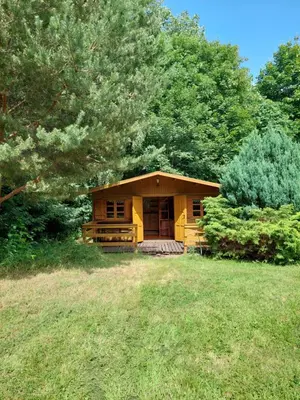 Ogród w obiekcie Apartament 59 , ranczoturystyka Bielawa Sudety