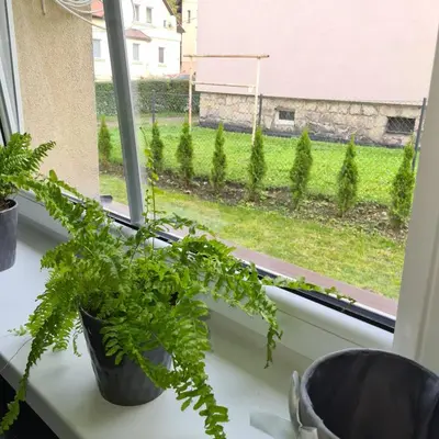 Ogród w obiekcie APARTAMENT PRZY RONDZIE