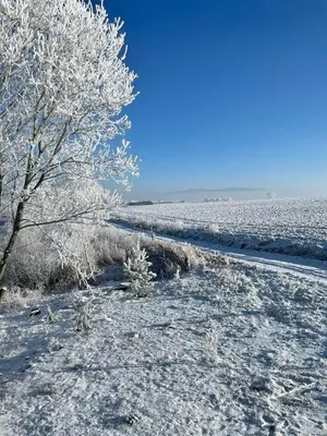 Przyroda w pobliżu tego domu wakacyjnego