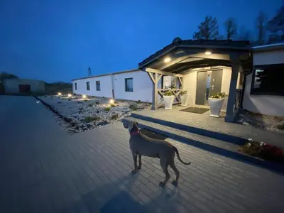 Zwierzęta zatrzymujące się w obiekcie Hotelik Nad Zalewem 10 km od Legnicy
