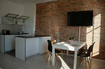 Kuchnia lub aneks kuchenny w obiekcie Apartament Gliwice Centrum Witkiewicza II