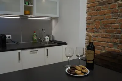 Kuchnia lub aneks kuchenny w obiekcie Apartament Gliwice Centrum Witkiewicza II