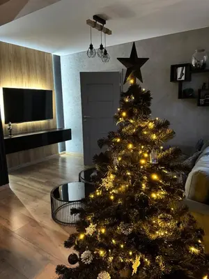 Telewizja i/lub zestaw kina domowego w obiekcie Gdanska Apartment