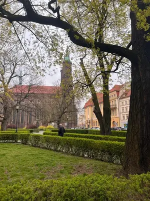 Ogród w obiekcie Apartament Plac Klasztorny