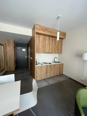 Kuchnia lub aneks kuchenny w obiekcie Aparthotel Apartamenty Czarna Góra 340