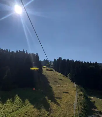 Przyroda w pobliżu tego apartamentu