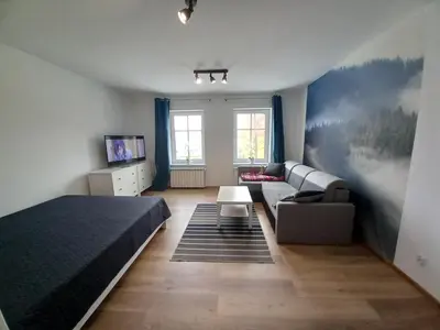 Telewizja i/lub zestaw kina domowego w obiekcie Apartamenty Kościuszki
