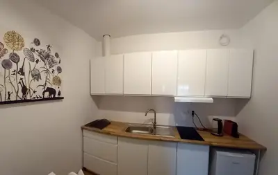 Kuchnia lub aneks kuchenny w obiekcie Apartamenty Kościuszki