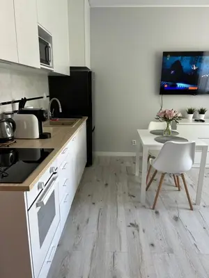 Kuchnia lub aneks kuchenny w obiekcie Apartament na Dworcowej Centrum Parking Gratis