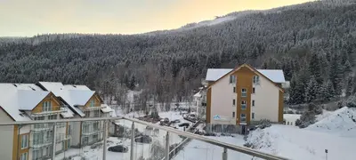 Przyroda w pobliżu tego apartamentu