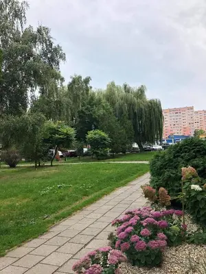 Ogród w obiekcie Apartament Datini, 40 m2