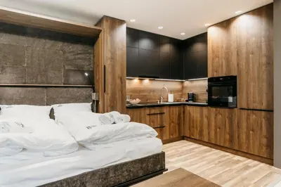 Kuchnia lub aneks kuchenny w obiekcie APARTAMENTY PARK CITY