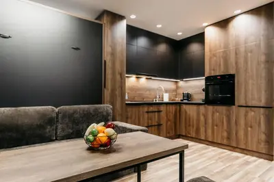 Kuchnia lub aneks kuchenny w obiekcie APARTAMENTY PARK CITY