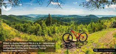 Przyroda w pobliżu tego apartamentu