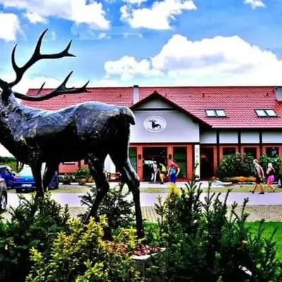 Pensjonat i Restauracja Hubertówka