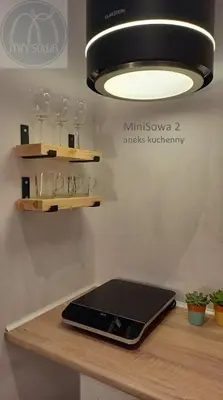 Kuchnia lub aneks kuchenny w obiekcie miniSowa
