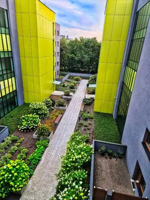 Ogród w obiekcie TK Apartments Grabiszyńska