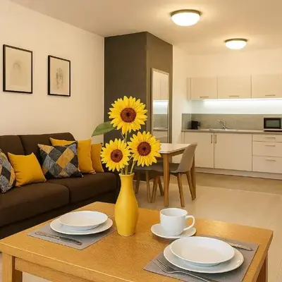TK Apartments Grabiszyńska