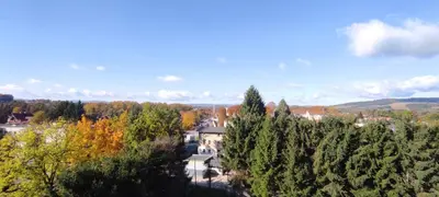 Przyroda w pobliżu tego apartamentu