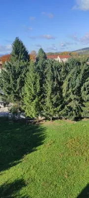 Przyroda w pobliżu tego apartamentu
