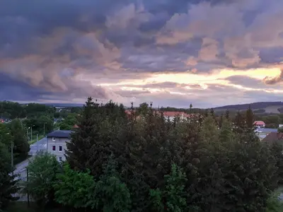 Przyroda w pobliżu tego apartamentu