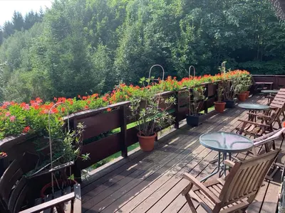 Ogród w obiekcie Agropajda