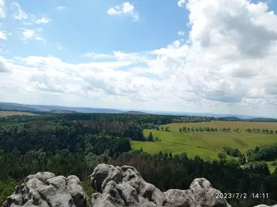 Przyroda w pobliżu tego domu w stylu alpejskim