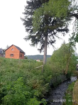 Przyroda w pobliżu tego domu w stylu alpejskim