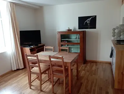 Telewizja i/lub zestaw kina domowego w obiekcie Apartament nad strumykiem Lądek-Zdrój