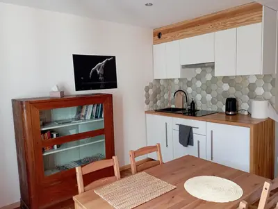 Kuchnia lub aneks kuchenny w obiekcie Apartament nad strumykiem Lądek-Zdrój
