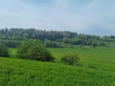 Przyroda w pobliżu tego domu wakacyjnego