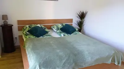 Łóżko lub łóżka w pokoju w obiekcie Apartament Kwiatowy klimatyzowany