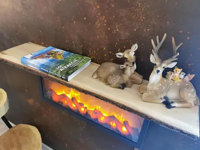 Zwierzęta w apartamencie lub w pobliżu