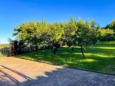 Ogród w obiekcie Dom na Poniatowie